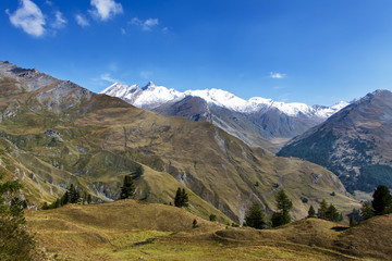The collar of Longet, the Italian French border collar, Italy