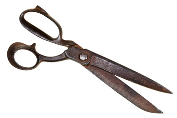 big tailor shears