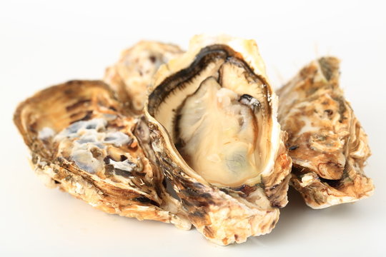牡蠣