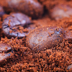 ground and roasted coffee beans