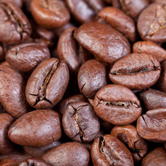 brown roasted coffee beans