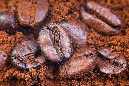 ground and roasted coffee beans © vvoe