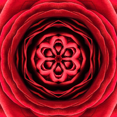 Red Concentric Flower Center. Mandala Kaleidoscopic design