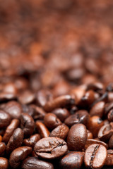 fresh roasted coffee beans background