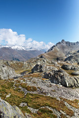 The collar of Longet, the Italian French border collar, Italy