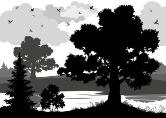Landscape, trees, river and birds silhouette