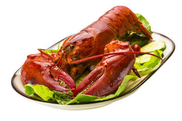 Large Lobster