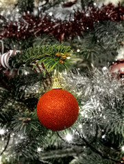 Fototapeta na wymiar close up christmas tree