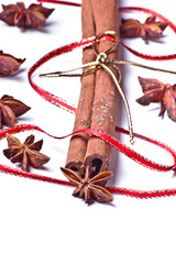 star anise with cinnamon and ribbon vertical view