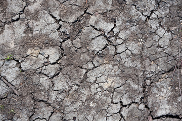 Dry land