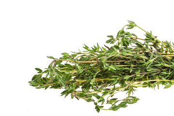 Thyme