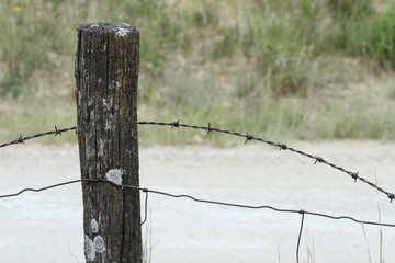 Fence Post With Barbed Wire