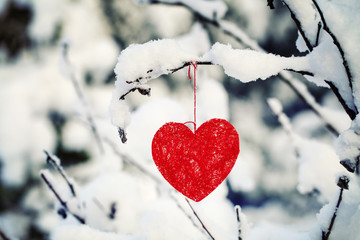 Heart on snow-covered forest bush