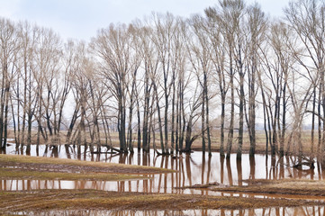 Весеннее половодье