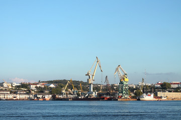 Cargo sea port, cranes panorama