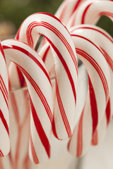 Festive Christmas Peppermint Candy Cane