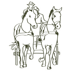 hand drawn horses