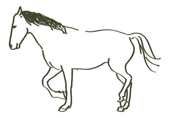 hand drawn horse