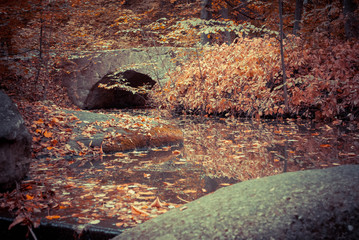 Fototapeta premium Autumn. Composition of nature.