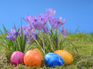 Ostereier und Krokus
