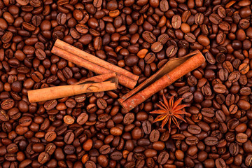 Anise and cinnamon on coffe beans