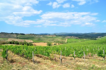 Fototapeta na wymiar Vineyeard in Chianti, Tuscany, Italy