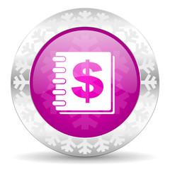 money christmas icon