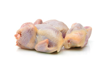 quail carcass closeup on a white background.