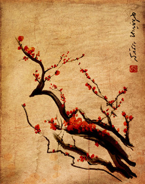 Sakura, cherry blossom plum Chinese painting
