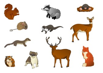 Wildtiere © Thomas Leonhardy