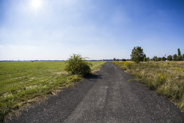 Fototapeta na wymiar little road leading to the horizon with meadow around