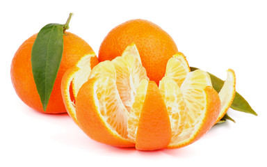 Tangerine with Segments