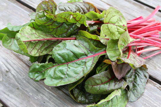Fresh swiss chard on a wood table