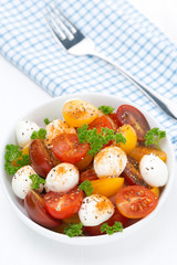 salad with mozzarella and colorful cherry tomatoes, top view