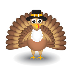 Cartoon turkey on white background for Thanksgiving Day