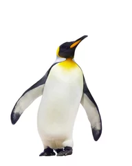 Stickers pour porte Pingouin manchots empereurs