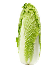 Chinese cabbage.
