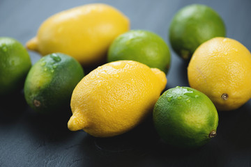 Fruits: limes and lemons, studio shot