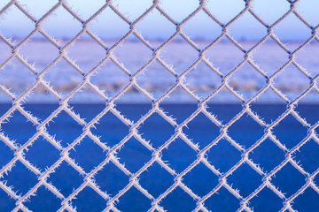 Fototapeta premium Eiskristalle