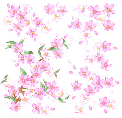 Obraz na płótnie Canvas 桜の装飾
