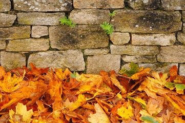 Hintergrund Bruchsteinwand im Herbst