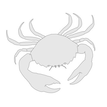 cartoon image of crustacean animal - crab