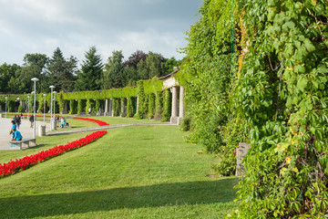 Wrocławska pergola © bzyxx