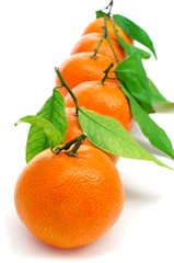 mandarin oranges © nito