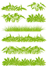 Tropical exotic jungle grass and plants detailed silhouettes lan