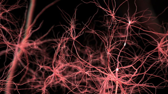 Neurone synapse network. 3D animation.