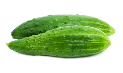Fresh cucumber