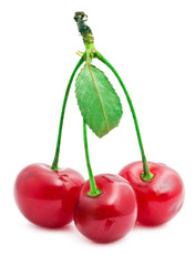 Red cherry