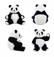 Fototapeta premium Stuffed animal panda bear or teddy bear