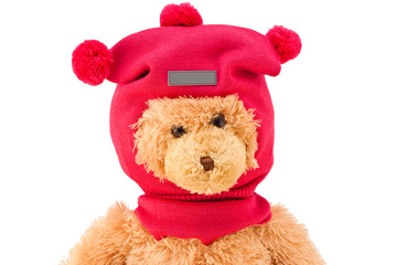 Teddy bear in winter knitted hat with pompons isolated on white